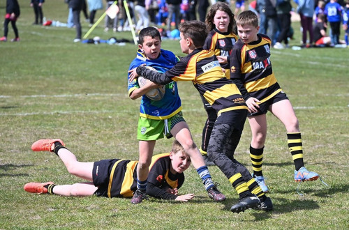 # Polskie Rugby # Polski Związek Rugby