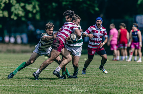 # Polskie Rugby # Polski Związek Rugby