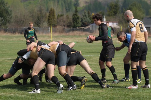 # Polskie Rugby # Polski Związek Rugby